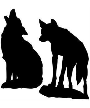 Coyote Silhouettes