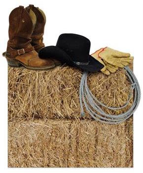 Western Stand-Up