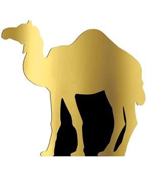 Camel Stand-Up
