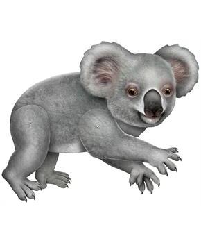Jointed Koala
