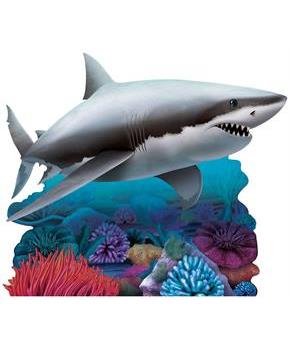 Shark Stand-Up