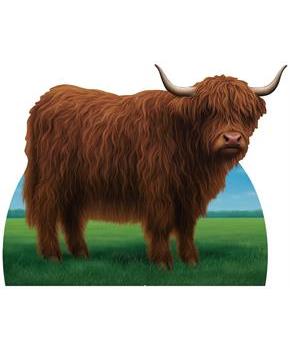 Highland Cow Stand-Up