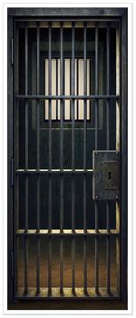 Jail Cell Door Cover
