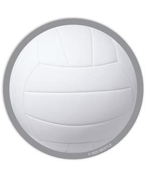 Volleyball Coasters