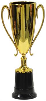 Trophy Cup Award