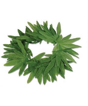 Tropical Fern Leaf Headband