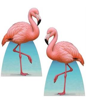 Flamingo Stand-Ups