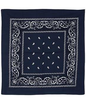 Blue Bandana