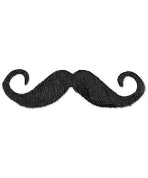 Handlebar Hairy 'stache