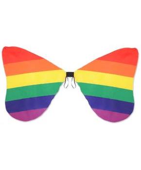 Fabric Rainbow Wings