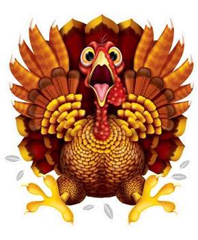 Crazy Turkey Car Cling