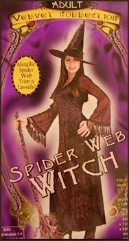 Spider Web Witch Costume
