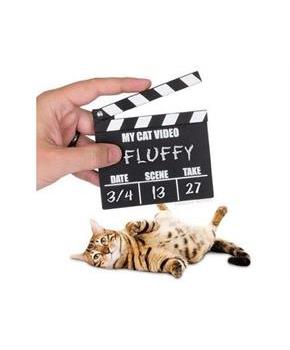 Cat Video Clapperboard Accessory