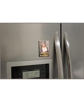 The Golden Girls Dorothy Pray For Brains 2.5 x 3.5 Inch Magnet