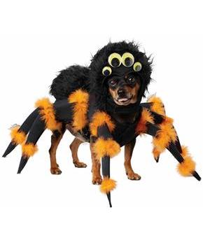 Spider Pup Pet Costume