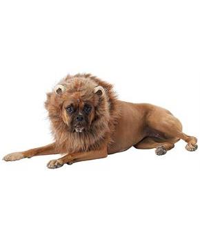 King of the Jungle Lion Man Dog Costume
