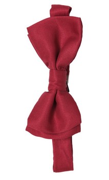 Doctor Who 11th Doctor Bow Tie