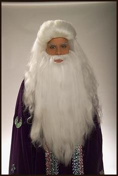White Sorcerer Moses Wig and Beard Adult Costume Set