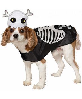 Skeleton Pet Costume
