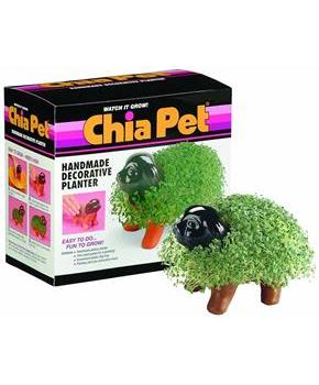 Chia Pet Grass Planter: Puppy
