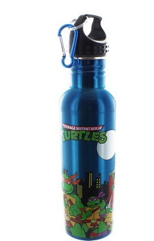Teenage Mutant Ninja Turtles Group 25oz Aluminum Water Bottle