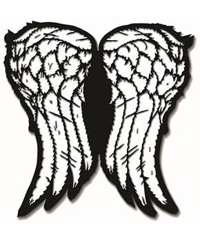 The Walking Dead Daryl Wings Collectible Pin, NYCC '17 Exclusive