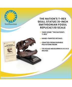 The Nation&#39;s T-Rex Skull Statue | 6-Inch Smithsonian Fossil Replica| 1:10 Scale