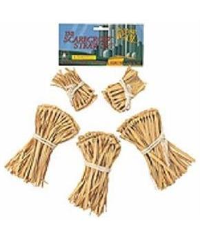 Wizard Of Oz Scarecrow Straw Kit