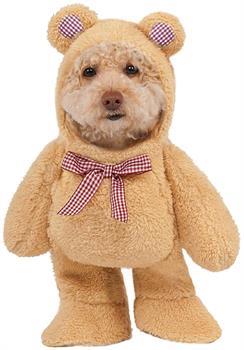 Walking Teddy Bear Dog Costume