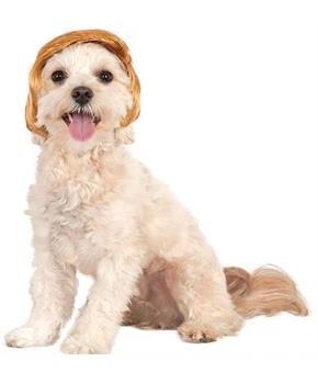Pawlitical Billionaire Dog Wig