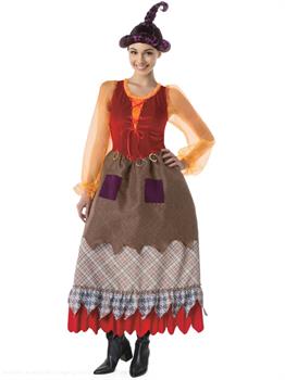 Salem Witch Brown Adult Costume