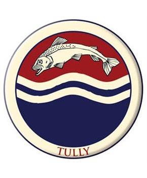 Game Of Thrones Embroidered Patch: Tully