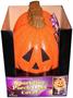 Sparkling Pumpkin Porch Light Cover (1 count)