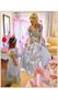 Enchanting Princess Elite Collection Adult Costume