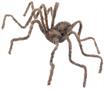 30" Brown Spider