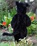 Black Kitty Infant / Toddler Costume
