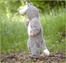 Little Wolf Infant / Toddler Costume