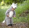 Little Wolf Infant / Toddler Costume