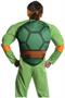Teenage Mutant Ninja Turtles Deluxe Michelangelo Adult Costume