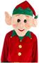Elf Mascot Costume