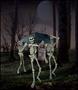 Skeleton Bearers with Coffin