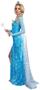 The Ice Queen Adult Costume