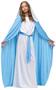 Mary Child Costume