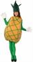 Pineapple Adult Costume One-Size