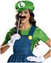 Super Mario: Luigi w/Skirt Adult Costume