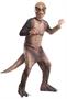 Boys T-Rex Costume