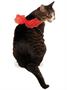 Devil Wings Pet Costume S/M