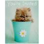 Rachaelhale Glamour Cats Invitations 