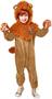 Wizard Of Oz Cowardly Lion Boy's Costume
