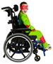 Teenage Mutant Ninja Turtles Raphael Adaptive Costume